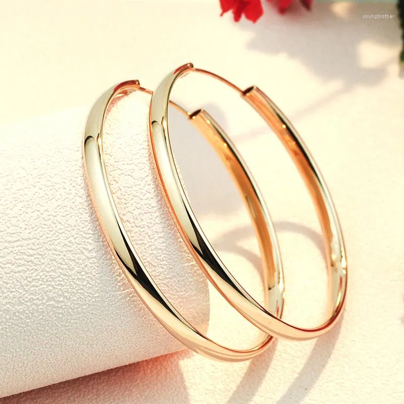 Hoop Earrings Women's S925 Sterling Silver Rose Gold Plated Ear Ring Graceful And Fashionable Color Big Personality B