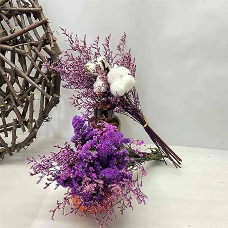 Fiori decorativi Viola Amante Erba Bouquet di fiori secchi naturali Rami di  piante vere Bellissime decorazioni per la casa Vendite dirette in fabbrica