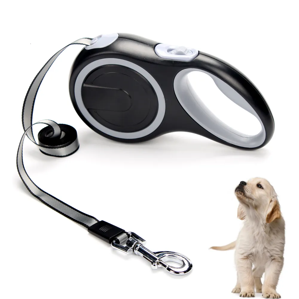 Dog hot sale leash automatic