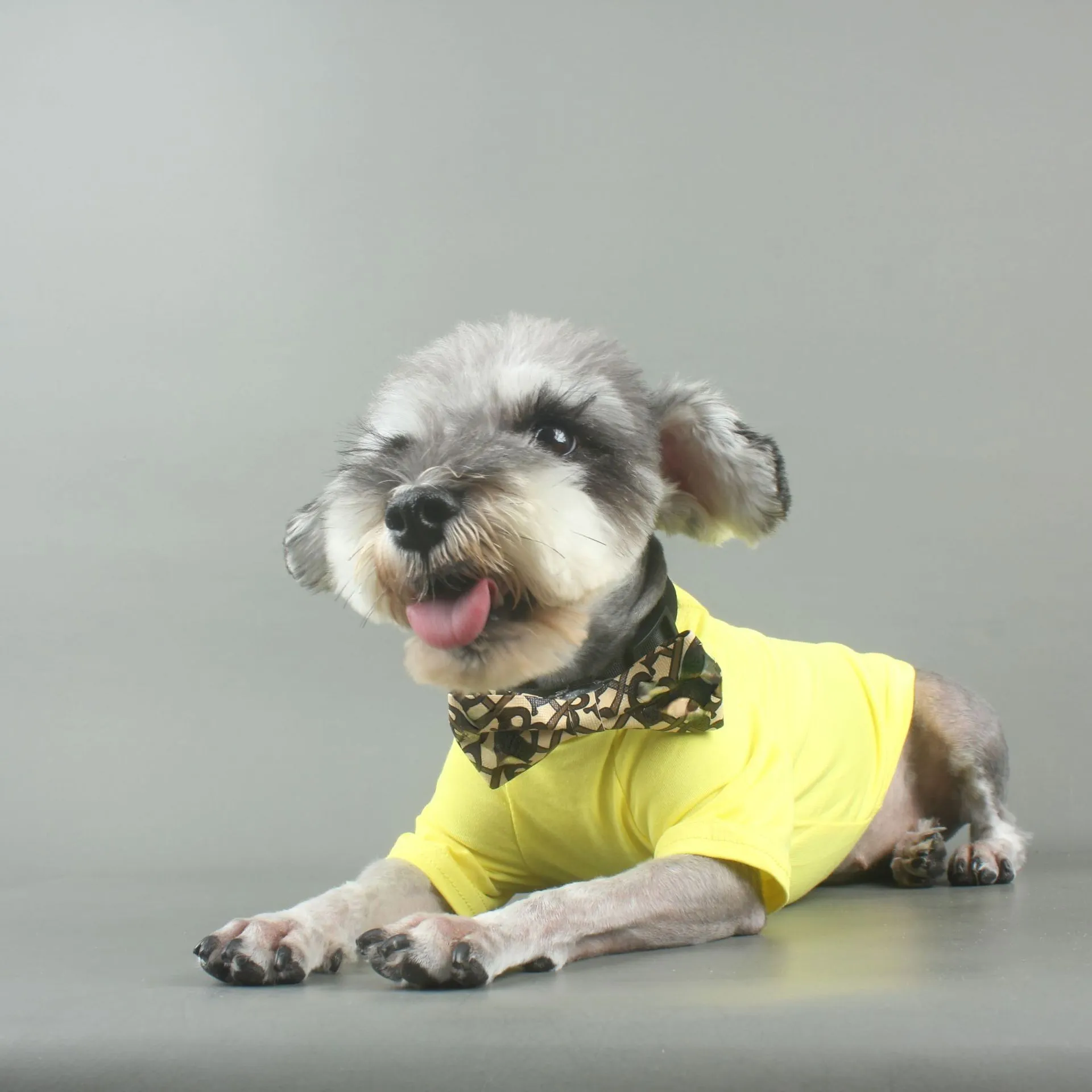 Dog Neckwear Dog Shirt Collar And Tie Dog Bowtie Collar: Stylish