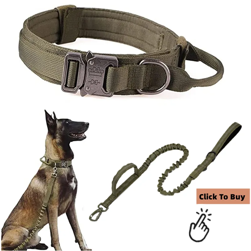 Military k9 collar discount