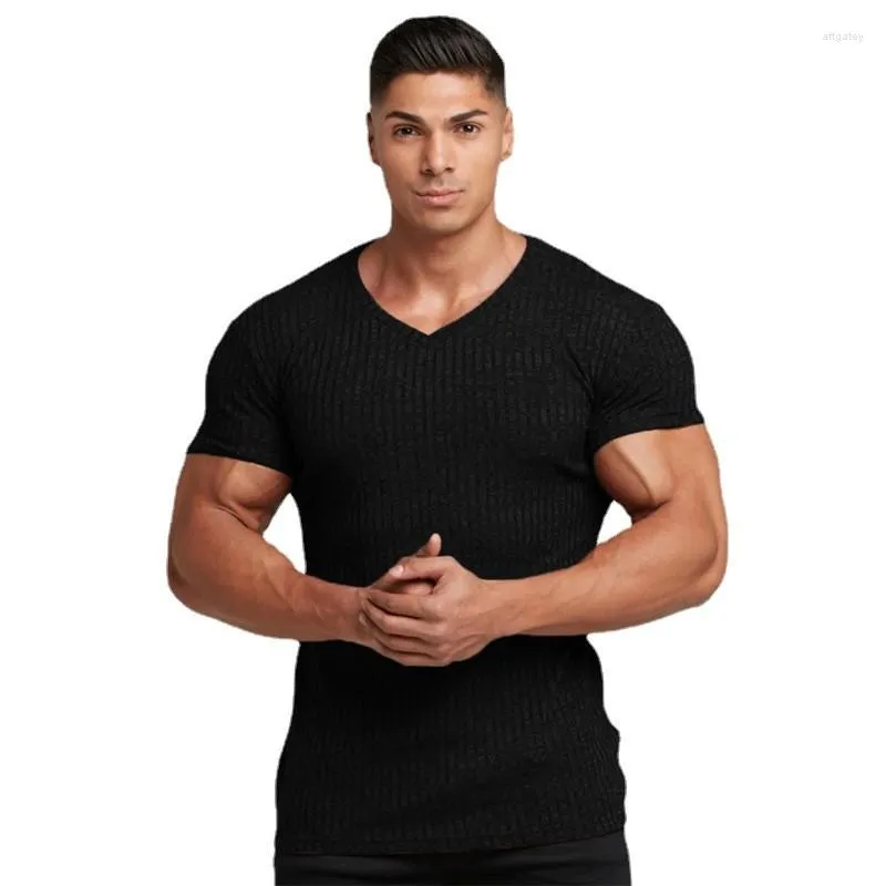 Herren T-Shirts Marke Sommer Herrenmode Casual Slim Fit V-Ausschnitt Einfarbig Workout Fitness T-Shirt