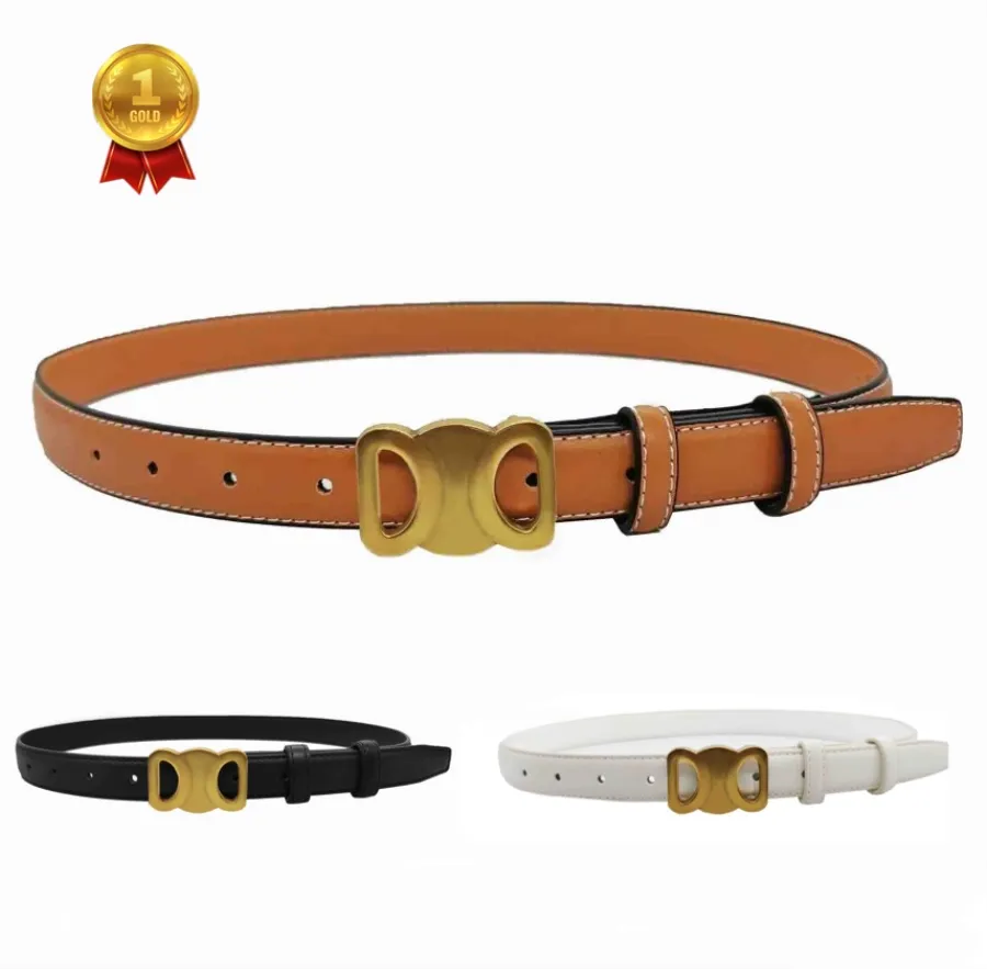 Designer Riem Dunne Taille Riemen voor Vrouwen Dames Ontwerp Cintura Breedte 25mm Echte Koeienhuid 3 Kleur Optioneel