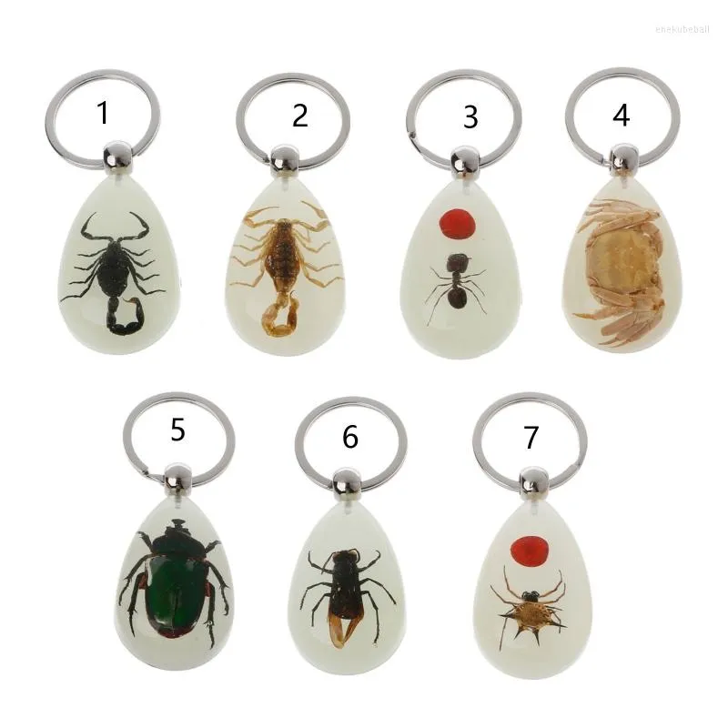 Keychains Resin Insect Keychain Luminous Scorpion Specimen Hanger Scenic Tourist Souvenirs Amber Trendy Sieraden