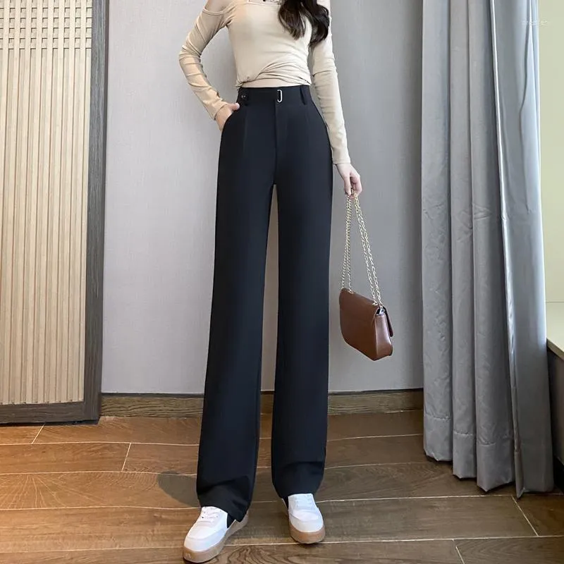 Office wear palazzo suits online