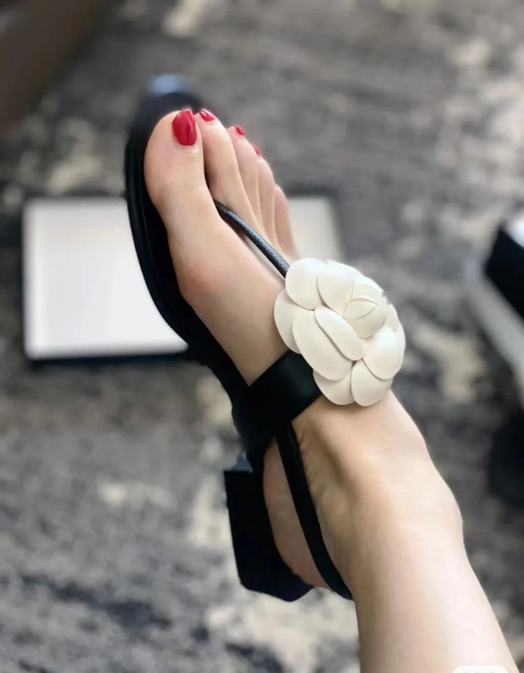 Marca de praia de verão de alta qualidade feminino de moda moda camellia couro colorido designer de luxo sandálias respiráveis ​​sapatos planos sapatos casuais ao ar livre