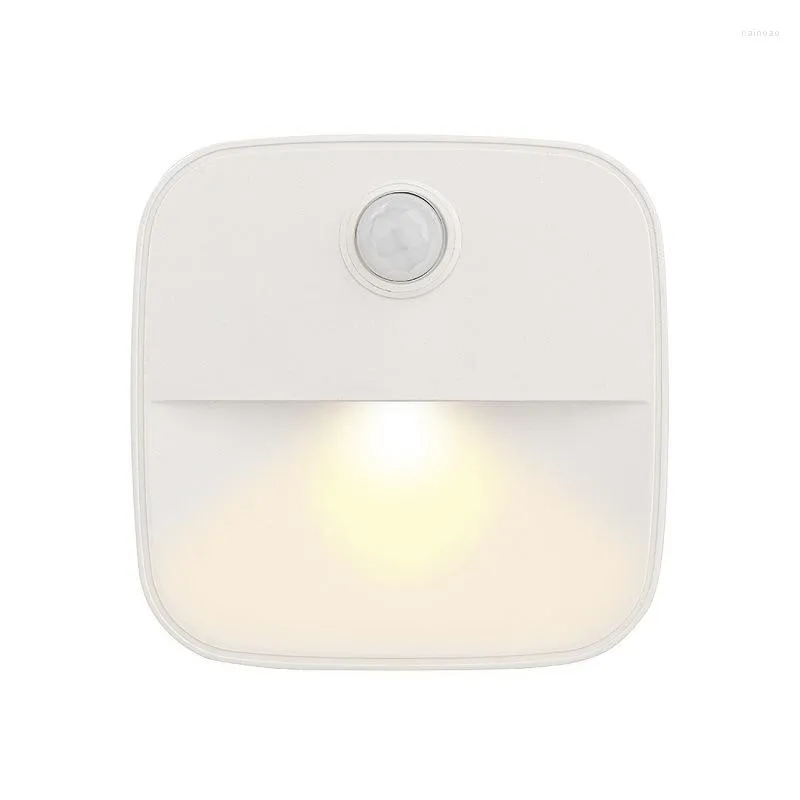 Applique Infrarouge Veilleuse Induction Branchée Dans Petite Allée Salle De Bains LED