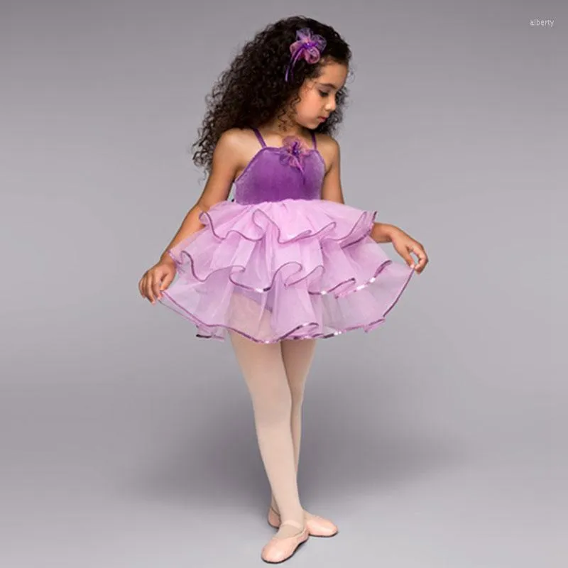 Vêtements de scène filles enfants Dancewear Ballet Tutu robes décontracté sans manches acrylique Violet robe de princesse vêtements de danse B-2420