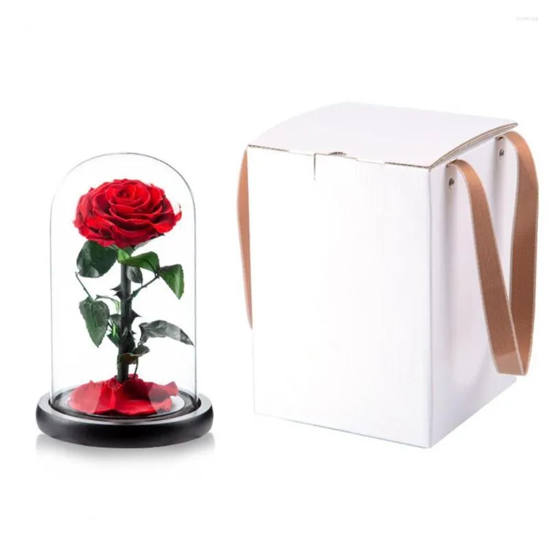 Preserved Eternal Forever Rose Plant Decor Anti Fade Transparent