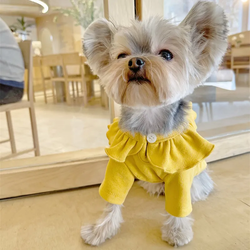 Chihuahua puppy clothes xxs hot sale