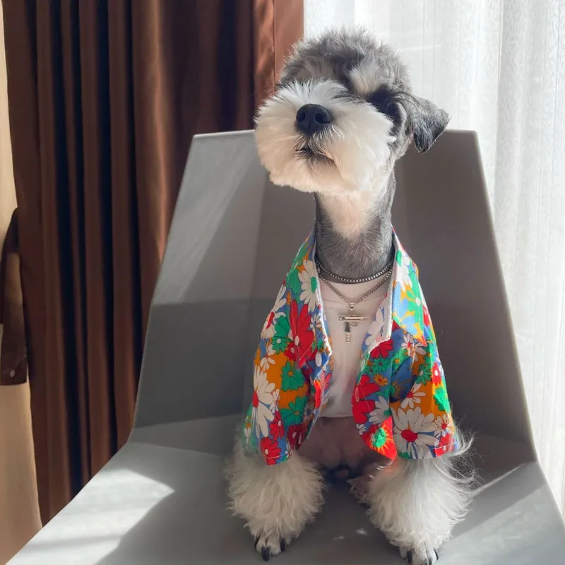 Miniature puppy clothes deals