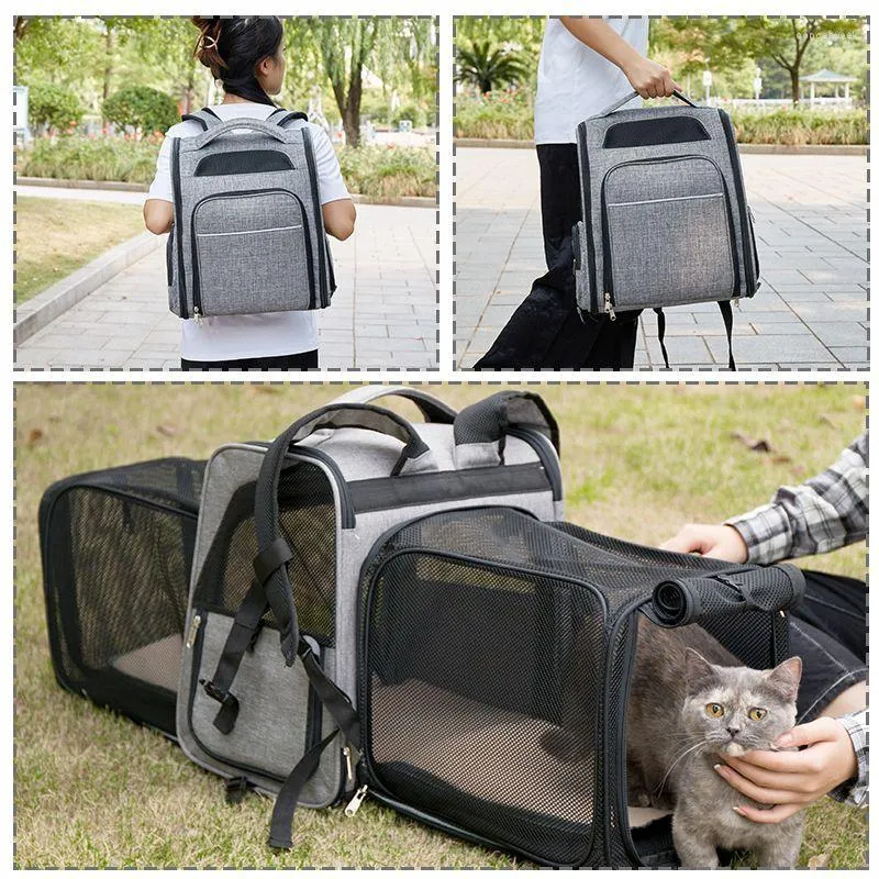 Skysmart pet carrier deals