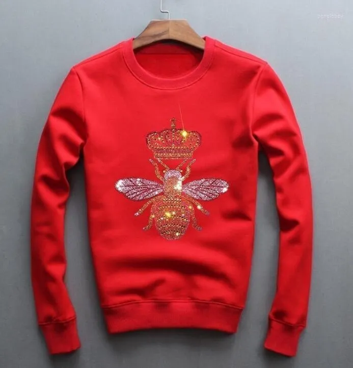 Gucci sweatshirt dhgate store