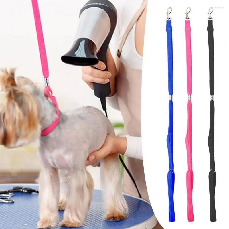 Dog grooming table leash discount