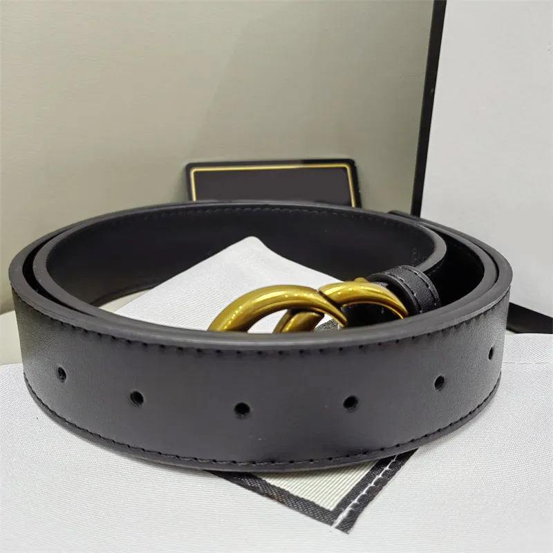 Ceinture gucci classique top