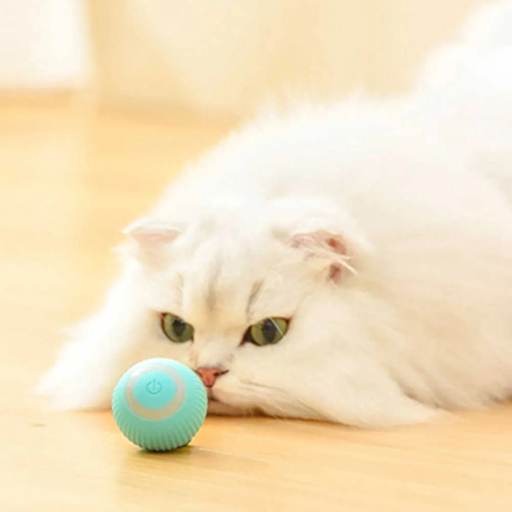 Smart cat toys sales