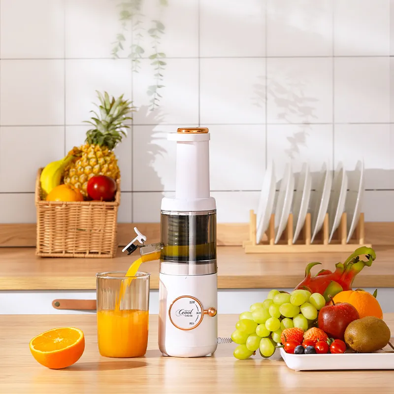 Exprimidor de frutas y vegetales sale
