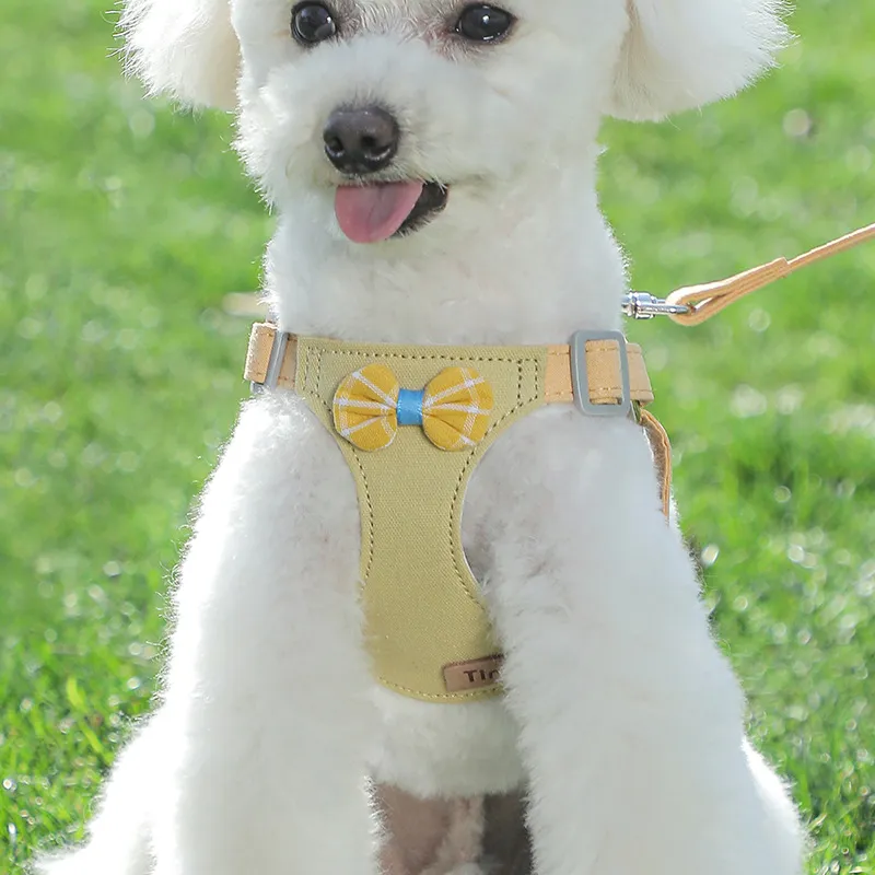 Harnais pour chien sans nœud - Harnais pour chien léger et doux, harnais et laisse réglables pour petit chien, avec laisse pour chien, convient aux chiots de petite et moyenne taille