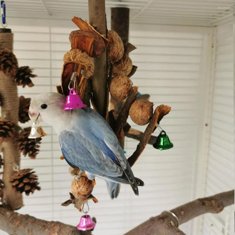 Autres fournitures pour oiseaux jouet à mâcher pour perroquet écologique mastication créative formation décorative intellectuelle