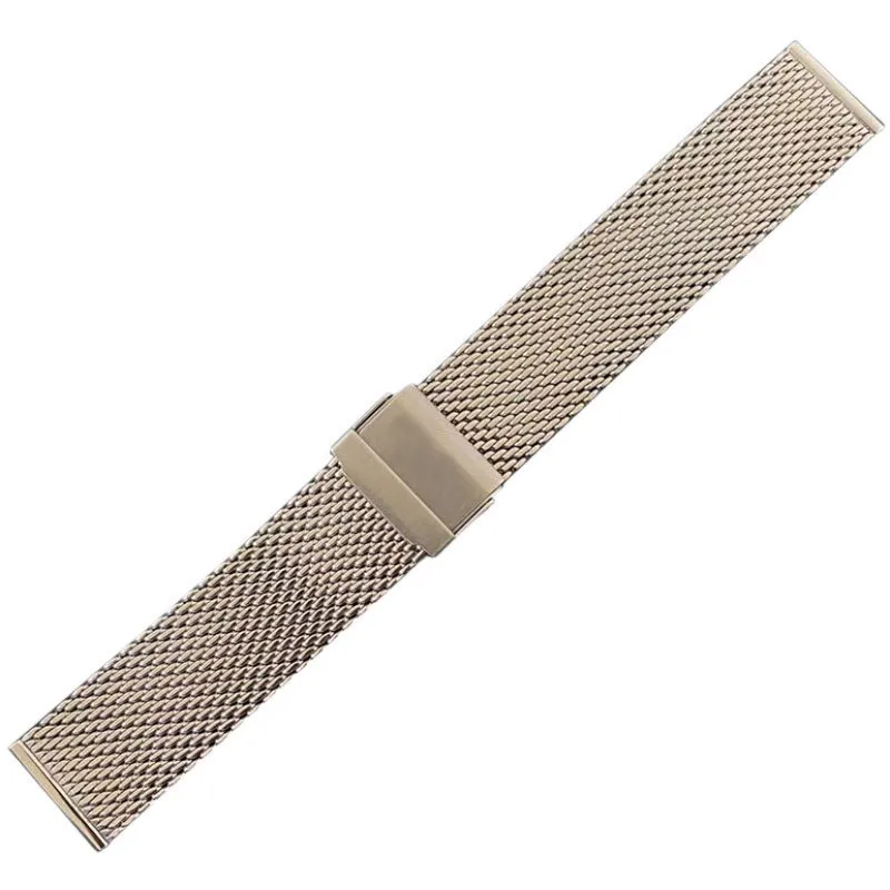 Male Stainless Steel Titanium Watch Band 21mm T120407 And