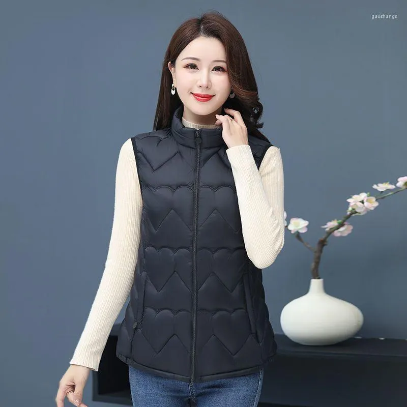 Chalecos cardigan por mayor top
