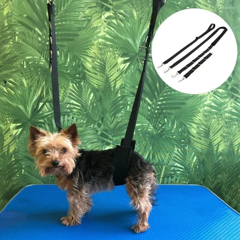 Dog grooming belly strap sales
