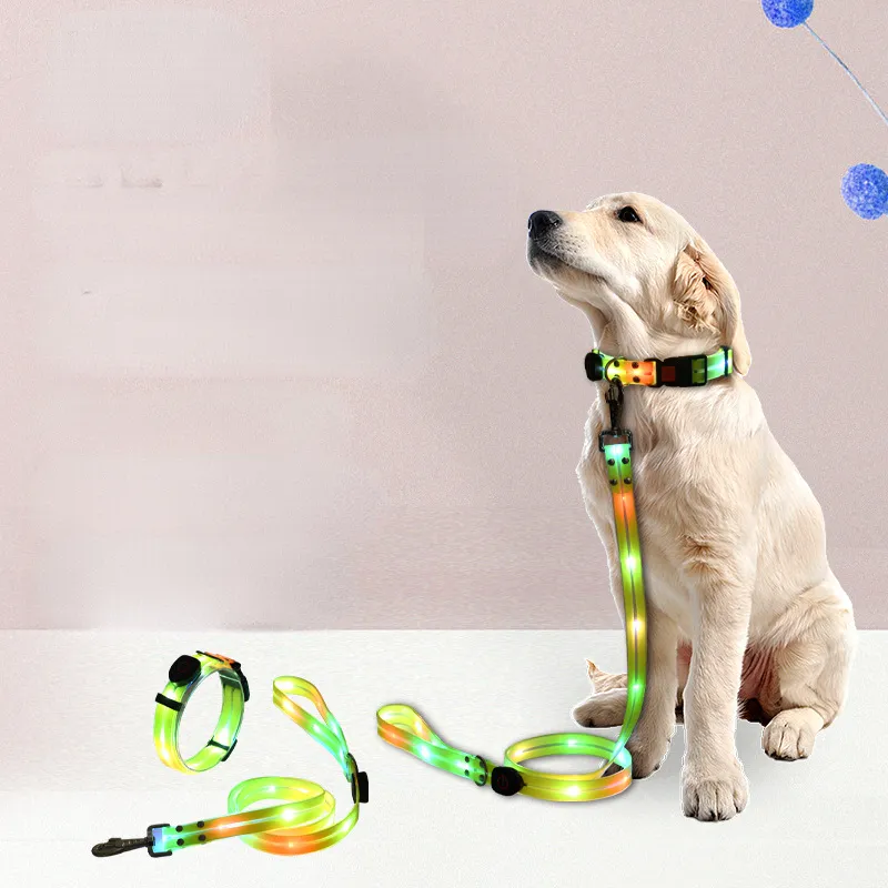 LED Light UP Dog Leash and Light UP Dog Collar Rechargeable Waterproof Glow in The Dark Dog Leash with Light Luminous Reflective Dog Lights for Pet Safety Night Walking