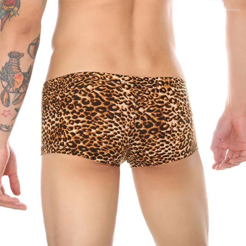 Cueca Hombre Calzoncillos 880 DHgate
