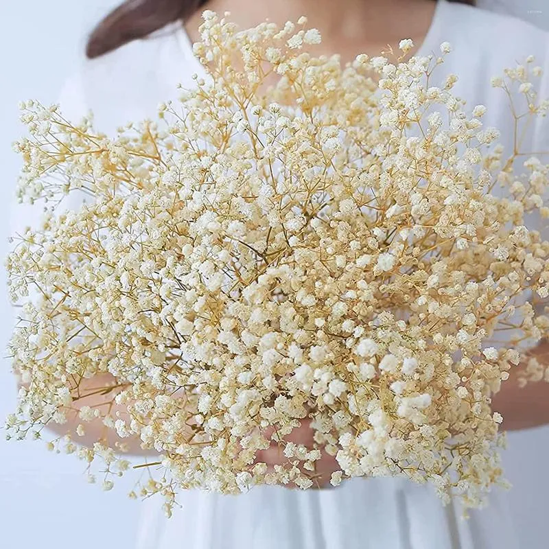 Decorative Flowers Dried Babys Breath Bouquet Ivory White Natural Gypsophila Branches For Home Decor Wedding Table Vase