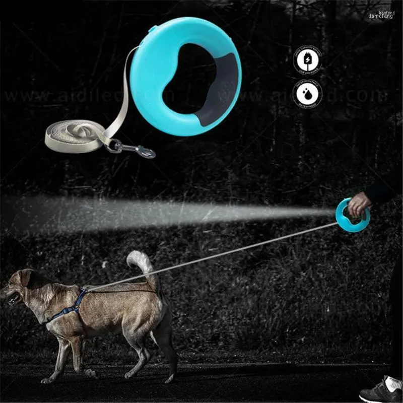 Collari per cani Guinzaglio Bracciale retrattile Carica USB Corda di trazione durevole con luce a LED Forniture per animali domestici per passeggiate notturne all'aperto