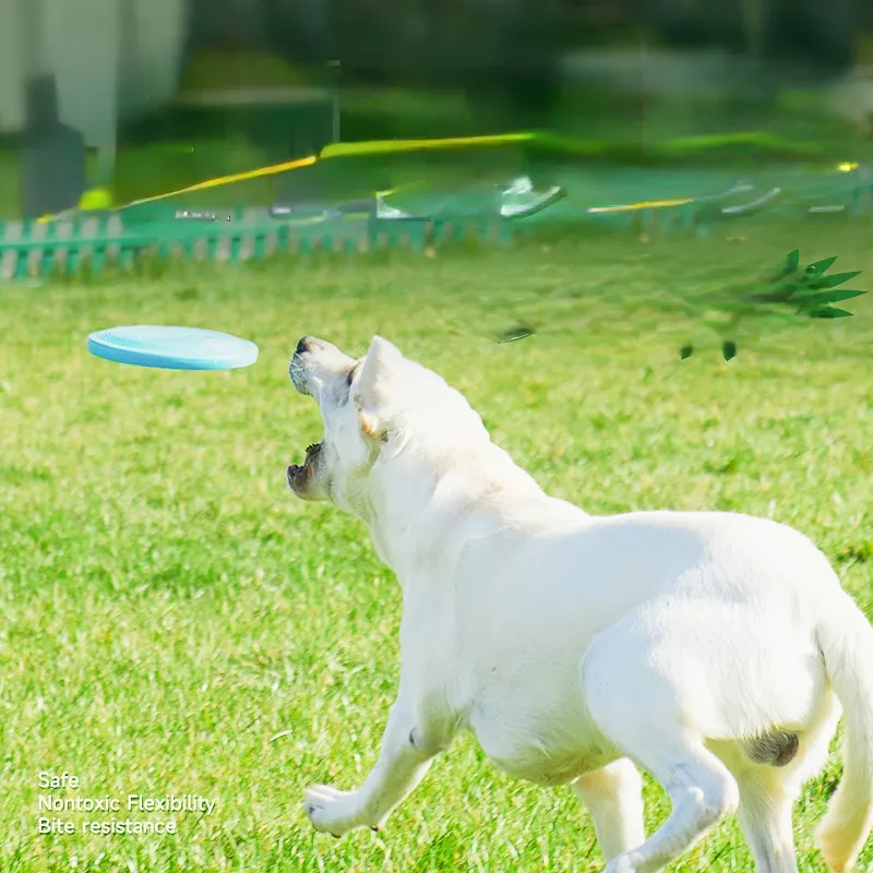 犬のフリスビー、犬用の高飛ぶ空力ディスク子犬の軽量、フェッチのための浮く犬のフリスビー、戦争の綱引き、キャッチ、遊び、食べ物/ウォーターボウルのダブルス