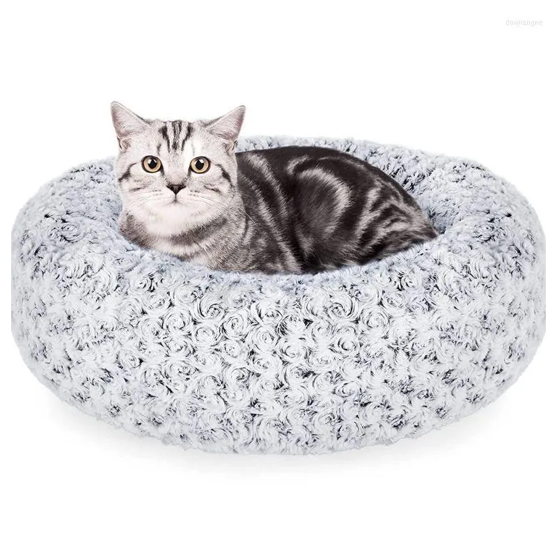 Dog beds at home bargains sale