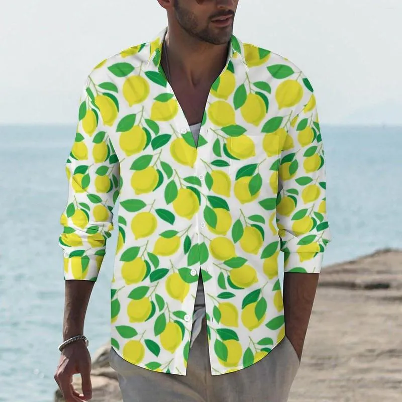 Camicia con limoni sale