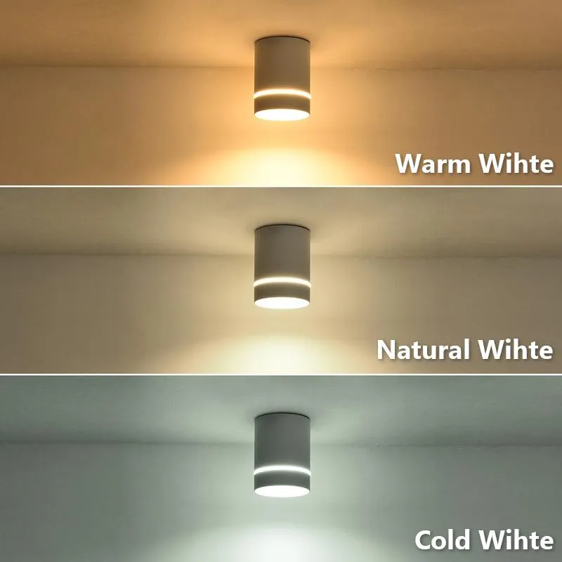 Downlight spotlight online