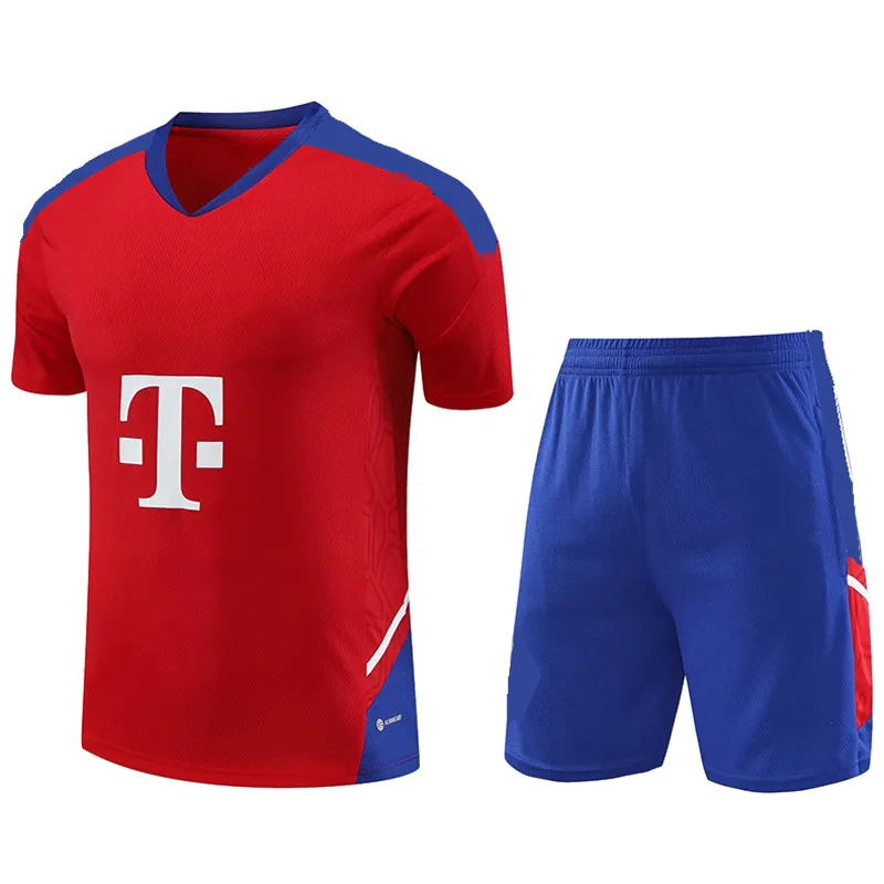 2023-2024 DAVIES MULLER Ropa de entrenamiento Camisetas de fútbol de manga corta KIMMICH GNABRY GORETZKA SANE COMAN MANE MUSIALA_voghion.com