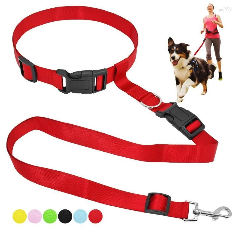 Dog Collars Leash Retractable Hands Free Waist Dogs Leashes Pet Leads For Running Jogging Walking Adjustable Small Large