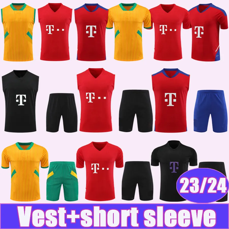 2023-2024 DAVIES MULLER Ropa de entrenamiento Camisetas de fútbol de manga corta KIMMICH GNABRY GORETZKA SANE COMAN MANE MUSIALA_voghion.com