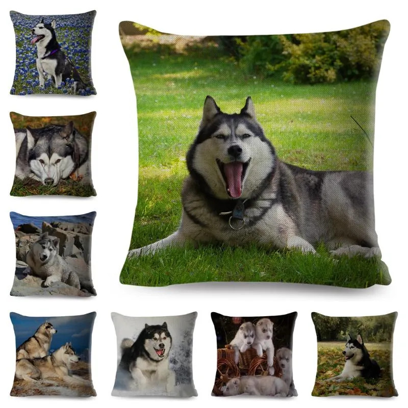 Oreiller/décoratif mignon animal de compagnie chien Animal Case décor sibérien Husky couverture pour canapé maison enfants chambre Polyester taie d'oreiller 45 45c