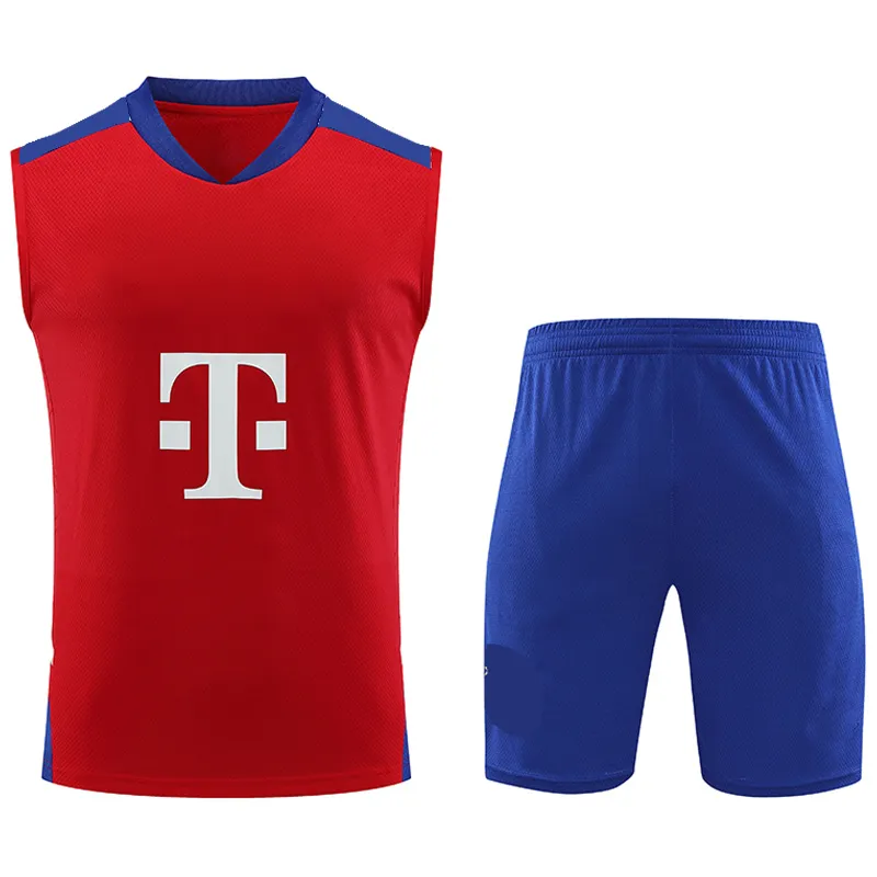 2023-2024 DAVIES MULLER Ropa de entrenamiento Camisetas de fútbol de manga corta KIMMICH GNABRY GORETZKA SANE COMAN MANE MUSIALA_voghion.com