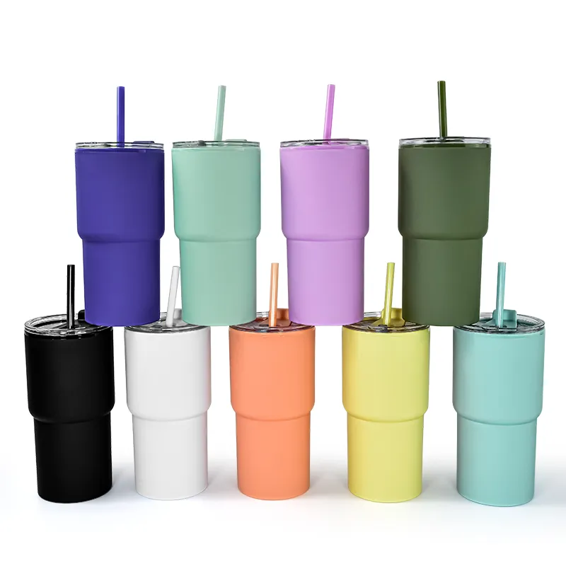 17oz Acrylic Double Wall Tumbler with Lid and Colorful Straw Reusable  Plastic Travel Cup