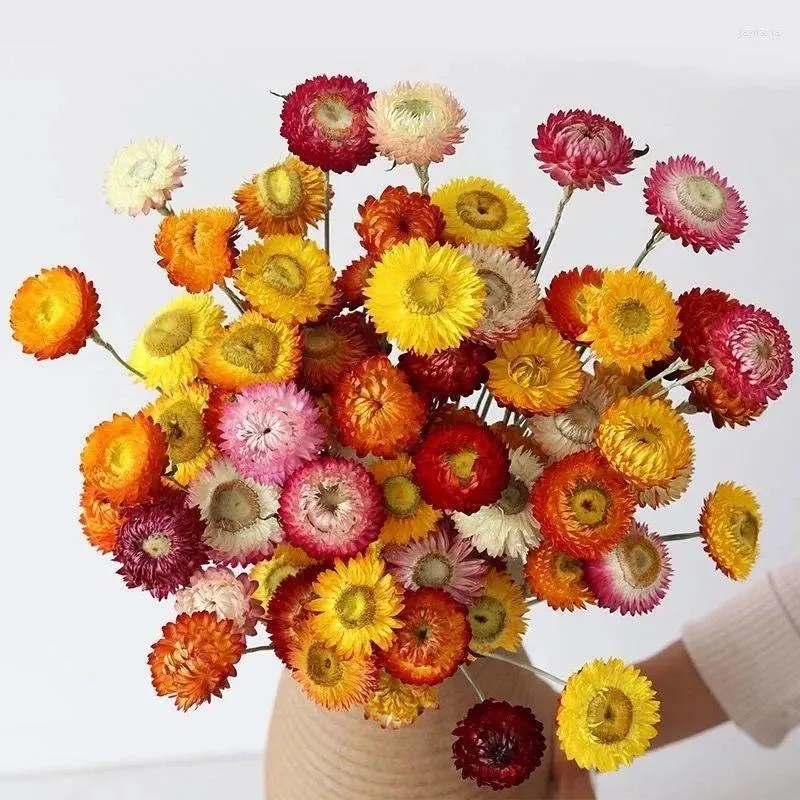 Kwiaty dekoracyjne prawdziwe suszone chryzantemie bukiet stokrotka słonecznikowy roślina kwiat dekoracja domu