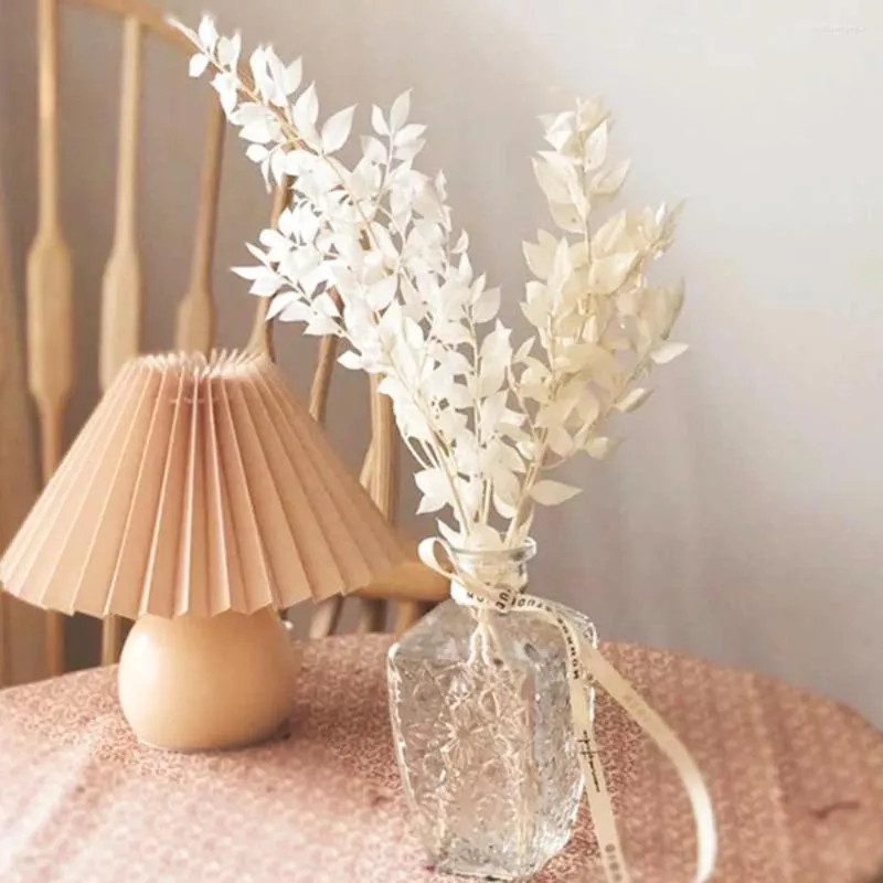 Decoratieve bloemen Natuurlijke gedroogde Ruscus kleurrijke eucalyptus bladeren boeketten boho bruiloft decoratie tuin ornament woning decor accessoires