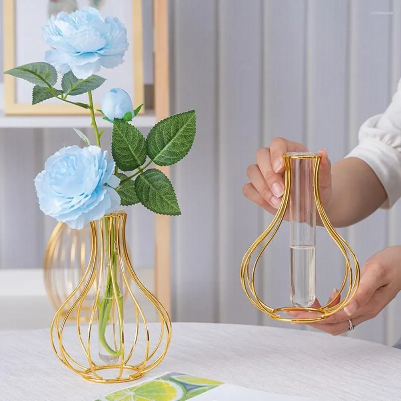 Vases Nordic Simple Style Glass Vase Hydroponic Plant Flower Home Test Iron Tube Geometric Decor Holder Desktop G8L5