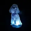 poodle light