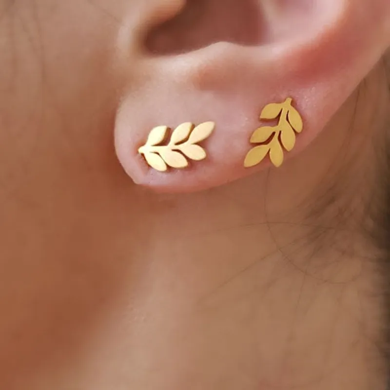Minimalist Laurel Leaf Stud Earrings Cute Stainless Steel Conch Piercing Jewelry For Women Fashionable Brincos 2020 From Ayyari 1 013.07 DHgate.Com