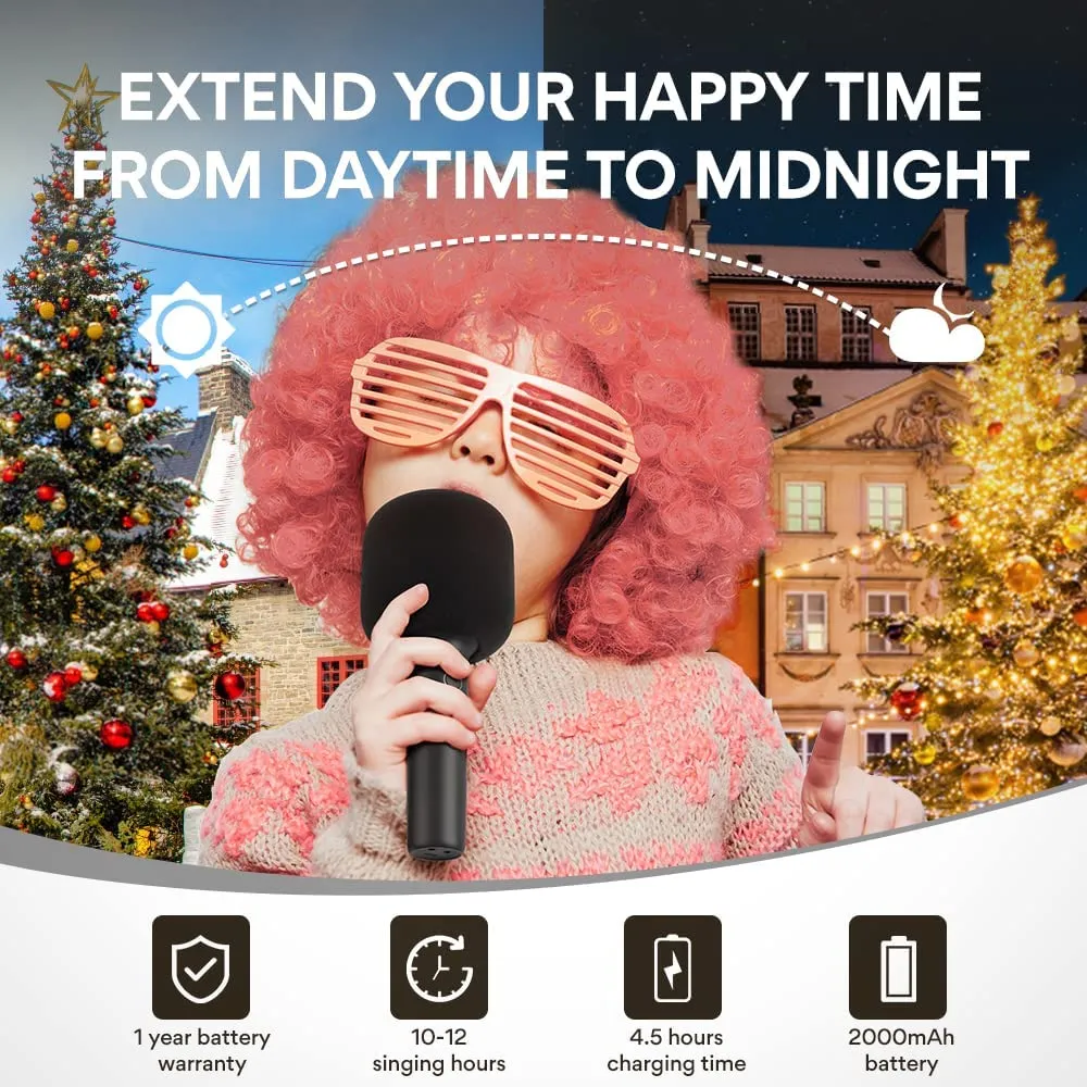 3 in 1 wireless handheld karaoke top