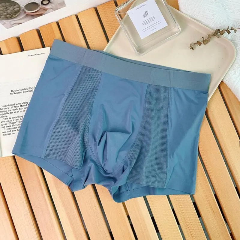 Mutande Uomo Trunks Sexy Plus Size Seta ghiaccio Slip boxer senza cuciture Biancheria intima sottile a forma di U Mutandine trasparenti Real Pos