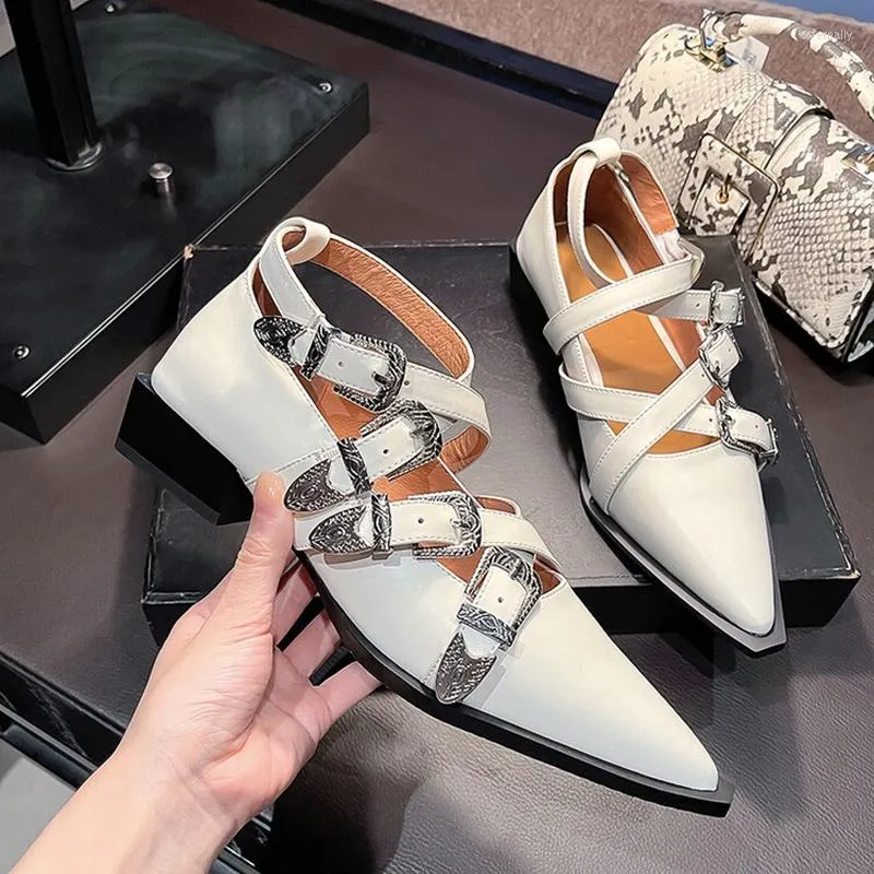 Zapatos de vestir de primavera 2023 para mujer, zapatos de tacón de piel dividida para punta estrecha, tacón bajo grueso, hebilla de cinturón de moda Mary Janes