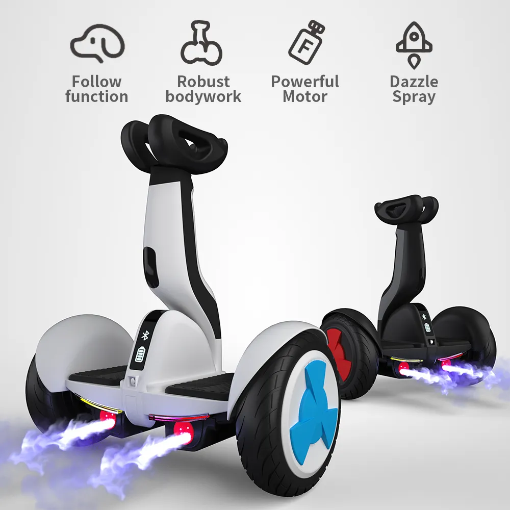 Auto balance hoverboard sale