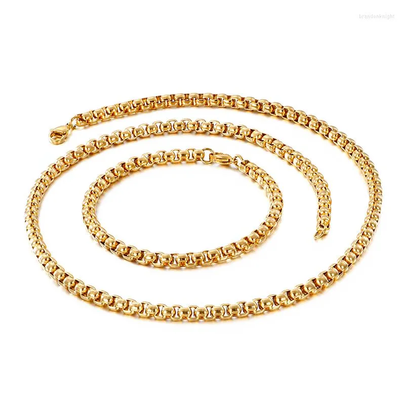 Halsband örhängen set guld silver färg rostfritt stål länk kedja armband för kvinnliga män mode charm